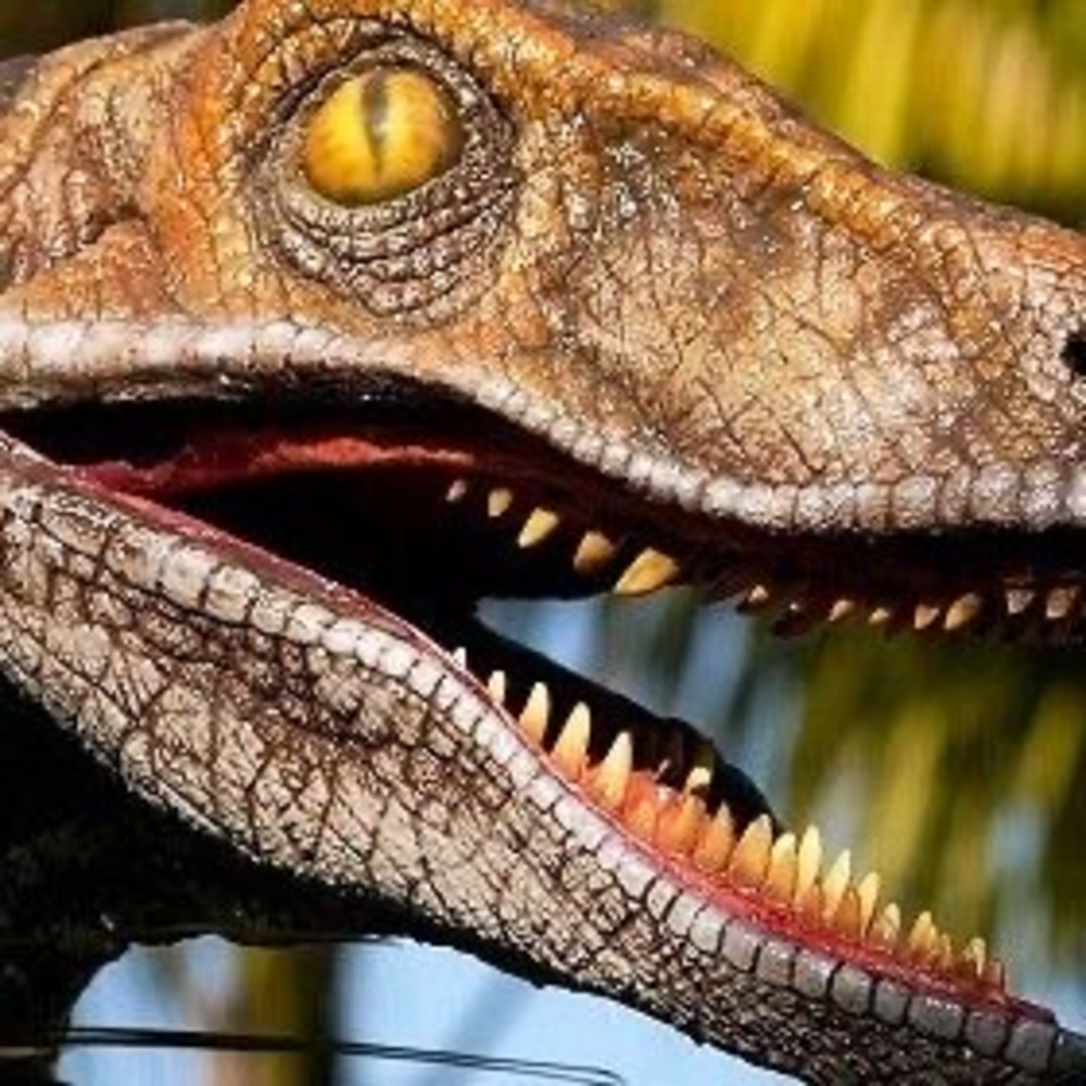 Meet your Posher, Raptor